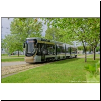 2021-05-21 Alstom Flexity Bruxelles (03700328).jpg
